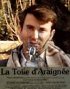 La_toile_daraignee.jpg